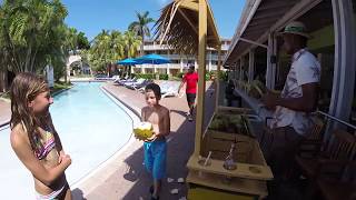 Fresh coconut water at the Holiday Inn Sunspree Resort Montego Bay Jamaica 2017 [upl. by Awuhsoj]