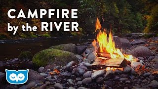 Campfire by the River  Relaxing Fire and Nature Sounds [upl. by Ribak]