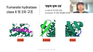 31 20202149 조순빈 Fumarate Hydratase Class II 단백질의 구조와 기능 [upl. by Chobot]