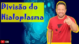 Divisão do Hialoplasma Citoplasma  Ectoplasma Citogel e Endoplasma Citosol  Citologia [upl. by Nitnert786]