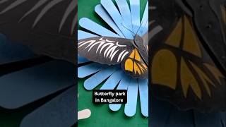 Bannerghatta zoo park butterfly youtubeshorts shorts trending trendingshorts [upl. by Akina308]