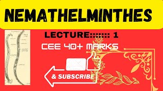 Phylum Nemathelmintheslecture 1 by best teacher and best notes [upl. by Nicolea706]