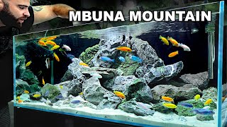 Mbuna Mountain EPIC Cichlid 4ft Aquascape Tutorial [upl. by Ecyac]