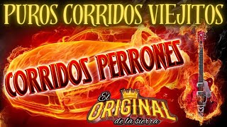 Las 100 Puros Corridos Viejitos Norteños Lo Mejor De Lo Mejor [upl. by Yren]