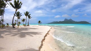 Tropical Island Walk  Ocean Beach Nature  Motu Tane  Bora Bora French Polynesia 🇵🇫  4K Travel [upl. by Ahsinoj792]