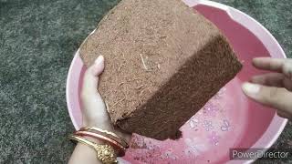 How To Make Coco peat Powder From Coco Brick  Coco peat Ghar Par Kaise Banaye। Whimsy Crafter [upl. by Ahsuas]