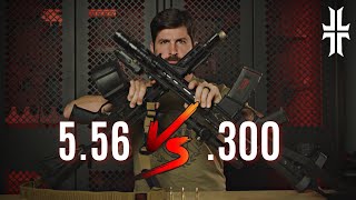 300 Blackout VS 556  WHY and WHEN you need them [upl. by Nwaf]