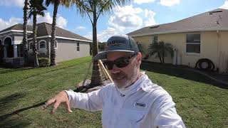 Empire Zoysia  Lawn Care Nut Zoysia Lawn Part 1 [upl. by Pope]