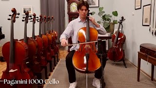 Paganini 1000 Series Cello [upl. by Dessma]