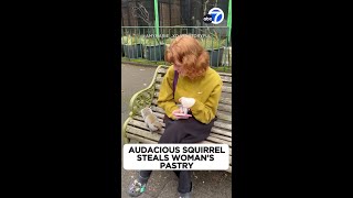 Audacious squirrel steals womans pastry [upl. by Edora190]