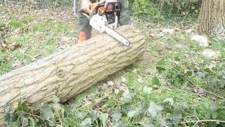 Stihl MS 180 im Holz 2 Teil [upl. by Negah]