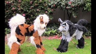 Mightyena and Arcanine  Cosplay Quadsuits [upl. by Atirehs892]