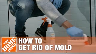 How to Get Rid of Mold  The Home Depot [upl. by Amabil787]