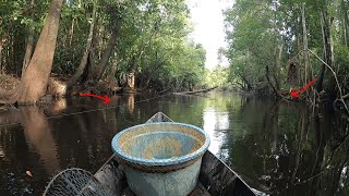 KETIKA RAWA SEMAKIN SURUT INILAH YANG TERJADI  PESTA IKAN BESAR DI RAWA INI [upl. by Odlonyer]