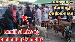 November 17 2023  Update sa Presyo ng Kambing sa Cattle Trading Capital of the Philippines [upl. by Ttoille]