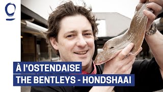 A lostendaise  The Bentleys  Hondshaai  Oostende [upl. by Evslin]