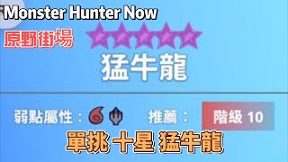 Monster Hunter Now  佛系式屠龍  原野街場  單挑 10星 猛牛龍 [upl. by Ahsinna]