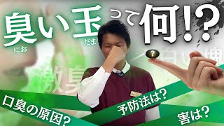 【必見】臭い玉ってなに！？現役口臭外来が徹底解説！ [upl. by Menzies667]