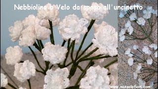 Nebbiolina o Velo della sposa alluncinetto nebbiolinauncinetto velodellasposa fioriuncinetto [upl. by Aholah243]