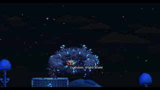 matamos al cangrejo champiñón terraria calamity mod [upl. by Krigsman]