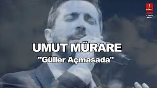 UMUT MÜRARE quotGÜLLER AÇMASA DAquot [upl. by Nolek]