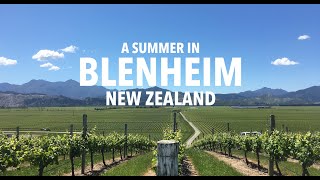 A Summer in Blenheim New Zealand [upl. by Artie]