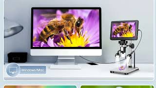 Top 5 Best Digital Microscope [upl. by Hardigg]