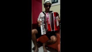 Forró na Sanfona  Acordeon  ABC do Sertão  Brazilian accordion music [upl. by Ohara945]