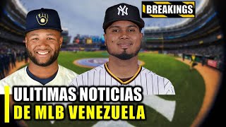 LUIS ARRAEZ ELIGIÓ UN EQUIPO CHOURIO NOVATO DEL AÑO VENEZOLANO ES EL MEJOR MAMAGER DE MLB [upl. by Aoniak]