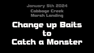 Change up Baits to Catch a Monster How to [upl. by Kruger380]