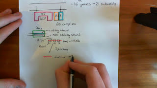 Heterotrimeric G Proteins Part 1 [upl. by Enrika]