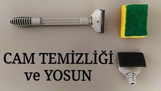 Akvaryum Camı Temizliği ve Yosun [upl. by Karlyn142]