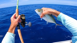 Epic Sight Fished Florida Marlin  This Bait Lasts About Two Seconds Tuna Catch n Cook [upl. by Llaccm]