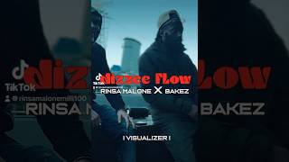 Rinsamalone ft bakez dizzee flow out soon [upl. by Sekoorb]