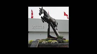 RIP HICKSTEAD 💔 Edited by HarlsFavFan [upl. by Ronn]