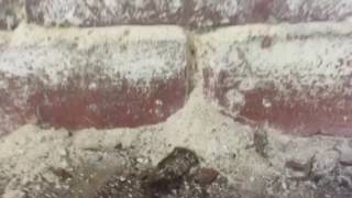 Efflorescence on Mortar and Brick Basement [upl. by Trici]