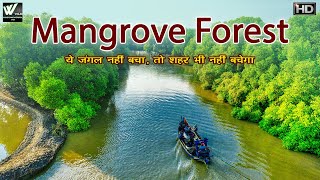 ये जंगल नहीं बचा तो शहर भी नहीं बचेगा  The World’s Largest Natural Mangrove Forest India [upl. by Brindle]