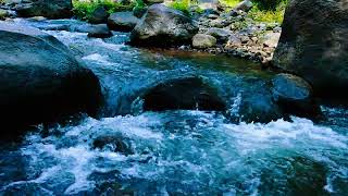 quotEscape to a Peaceful River  ASMR for Relaxation amp FocusquotNatureEscape FocusSounds [upl. by Raab83]