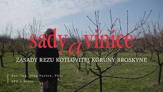 Sady a vinice I Zásady rezu kotlovitej koruny broskyne [upl. by Adamek952]