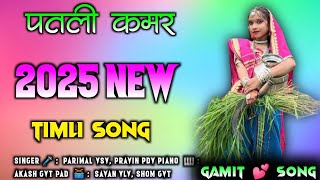 पतली कमर  Adivasi Gamit Song 2024  Gamit Timli Song 🥰  Pravin Padvi [upl. by Chambers385]