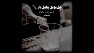 chal bottle cha dill darShafa ullah rokhri Saraiki Song slowed Reverb [upl. by Htrahddis]