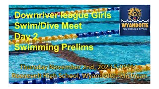 Downriver League Girls Meet Swimming and Diving [upl. by Leahcimnaes]