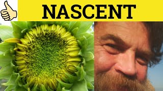 🔵Nascent Meaning  Nascent Examples  Nascent in a Sentence  Nascent [upl. by Aloibaf]