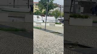 Portugal 🇵🇹 Leiria travel subscribe traveldestinations shortvideo birds visitportugal [upl. by Haral]