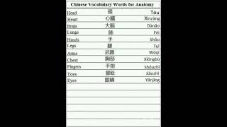 Beginner Chineseessential words for Chinese beginners you need these words every day [upl. by Taro981]