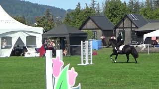 Woodmont Premier amp Riley 75 Jumper Grass SSITS Final Lochside Lane Sept 2024 [upl. by Rama]