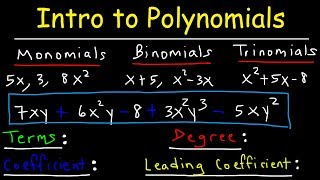 Polynomials  Classifying Monomials Binomials amp Trinomials  Degree amp Leading Coefficient [upl. by Nennarb]