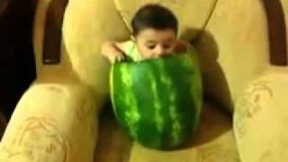 EAT DAT WATERMELON The Baby Mix [upl. by Trinia]