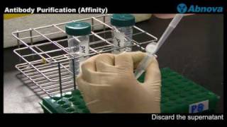 Antibody Purification Affinity [upl. by Cecilius]