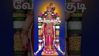 Thiruppavai Glimpse 2  By Swami Velukudi Krishnantamil shorts krishna vishnu andal upanyasam [upl. by Anwad]